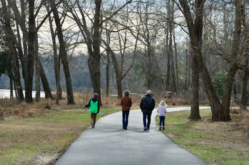 Family walking in a park